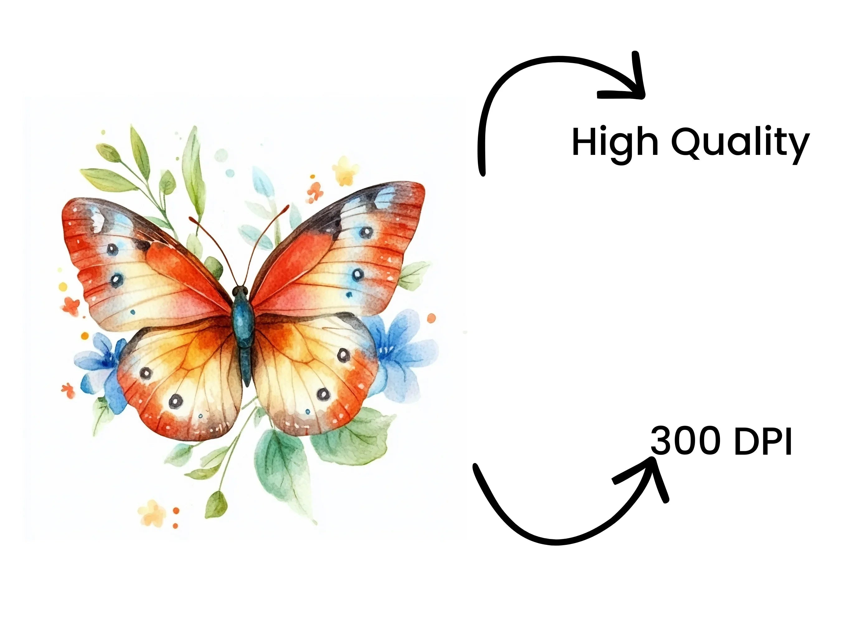 Butterfly Clipart Bundle