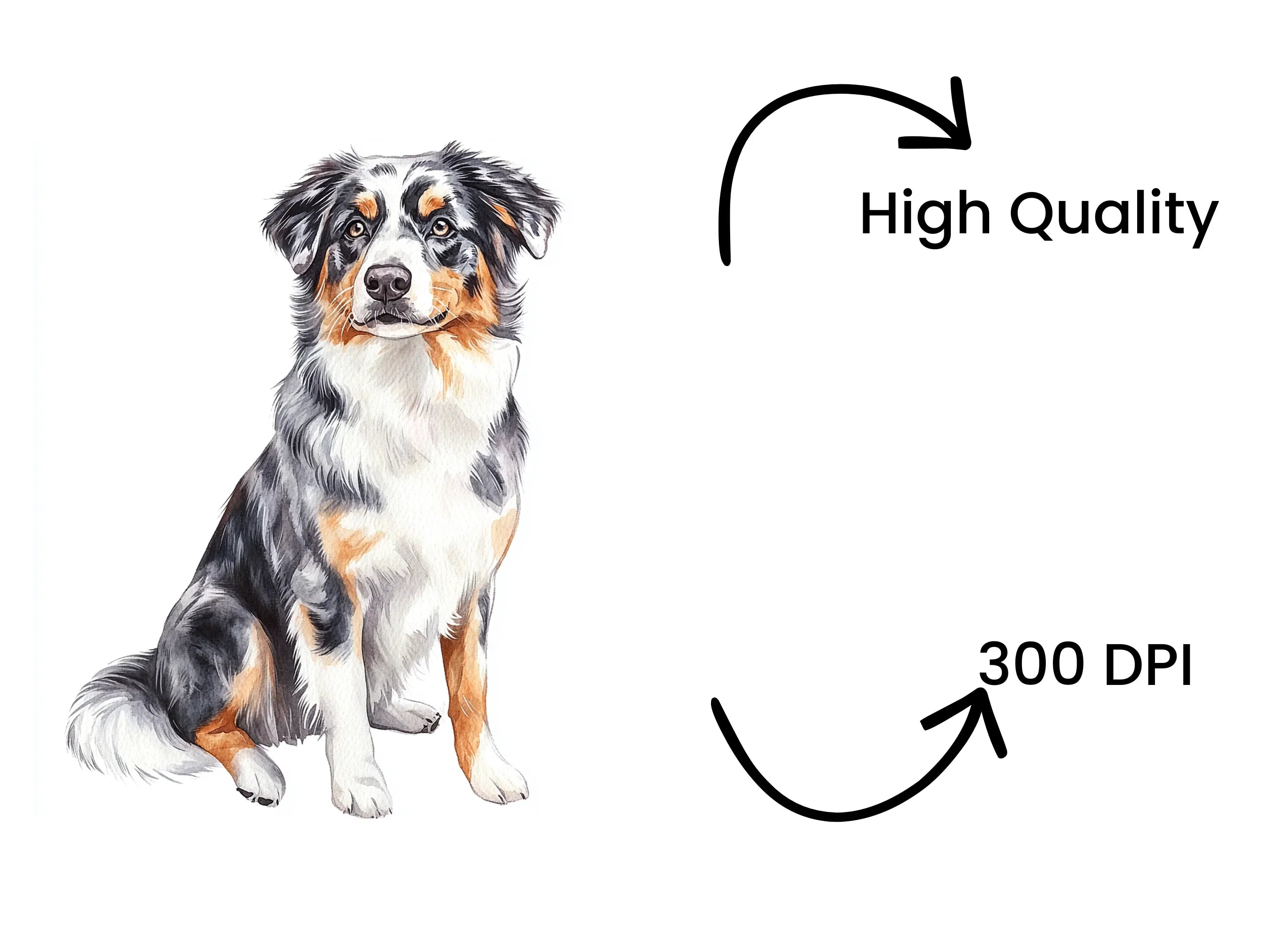 Australian Shepherd Clipart Bundle