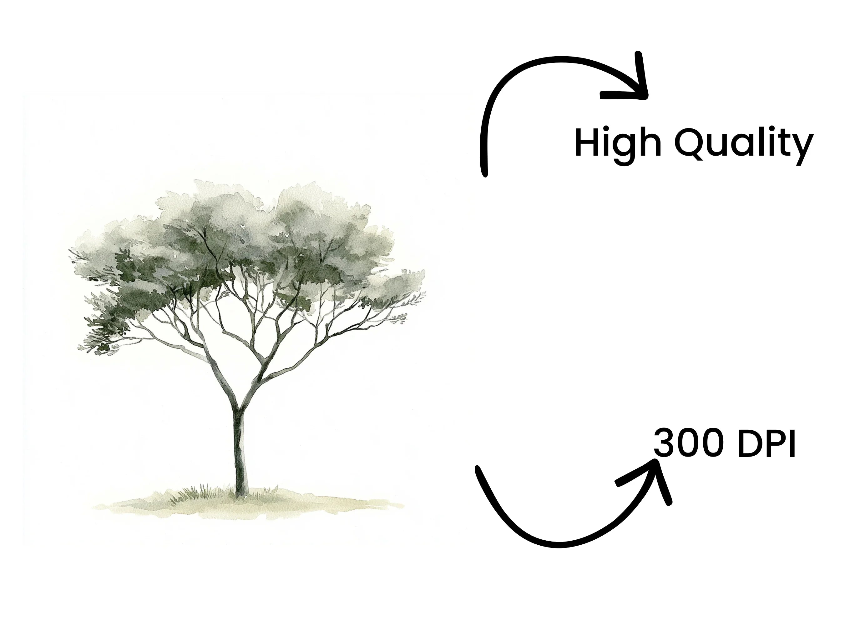 Tree Clipart Bundle