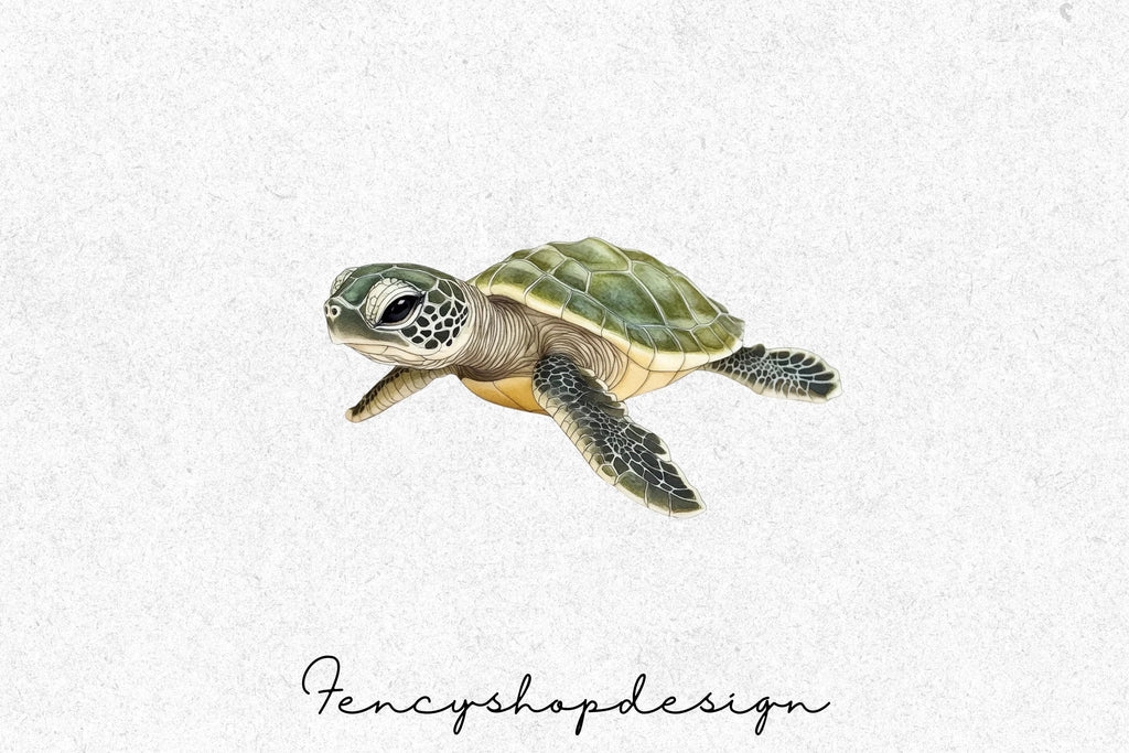 Baby Sea Turtle Clipart Bundle