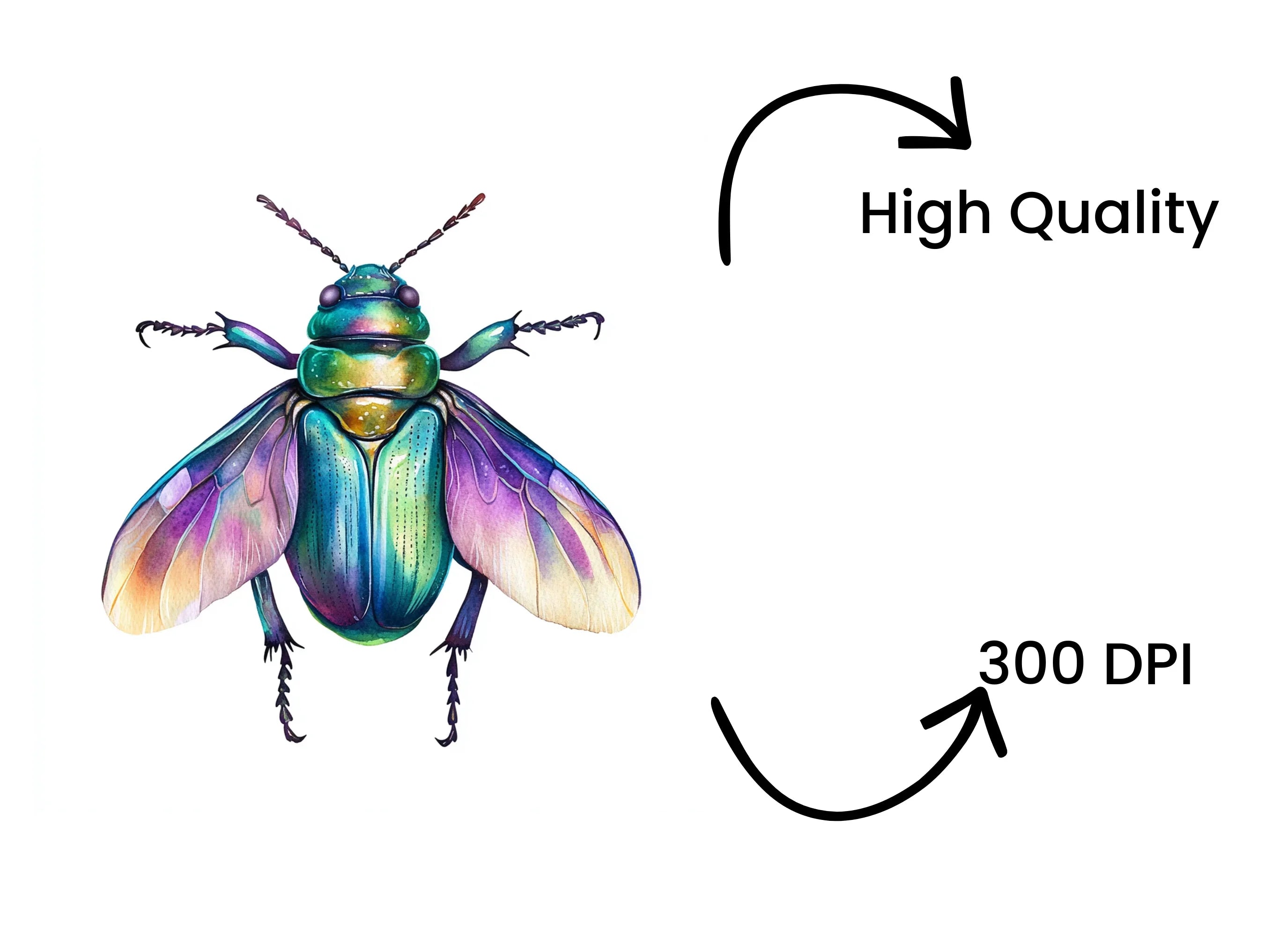 Iridescent Jewel Beetle Clipart Bundle