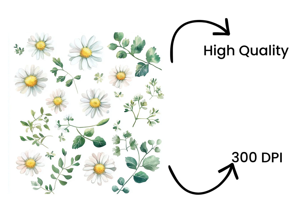 Daisy and Greenery Clipart Bundle
