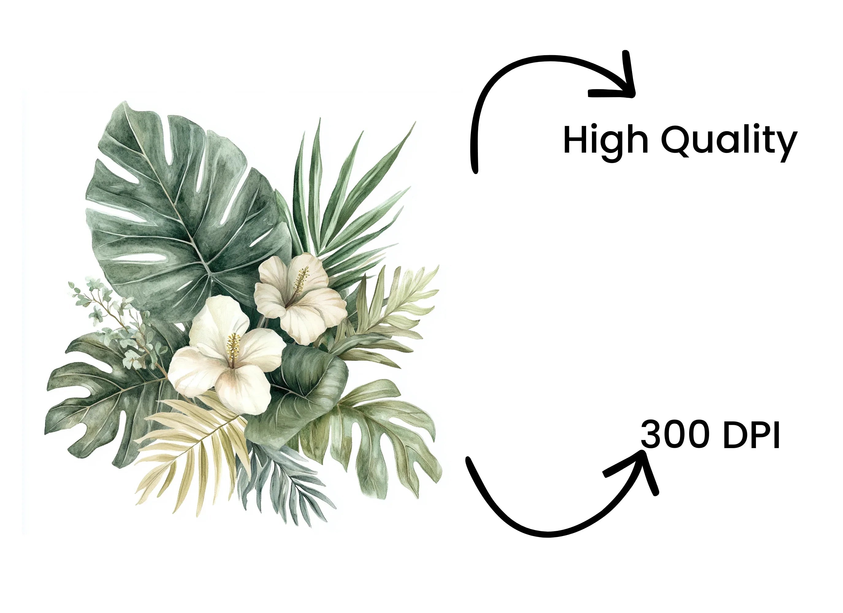 Tropical Leaves Clipart Bundle