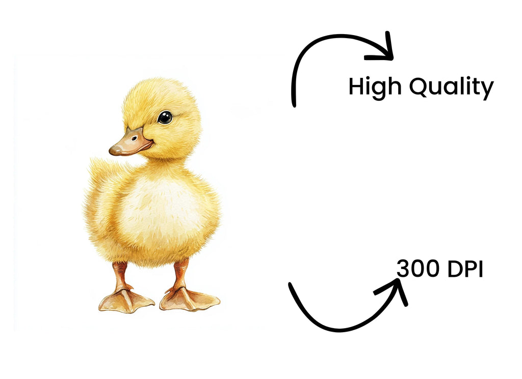 Cute Fluffy Duckling Clipart Bundle