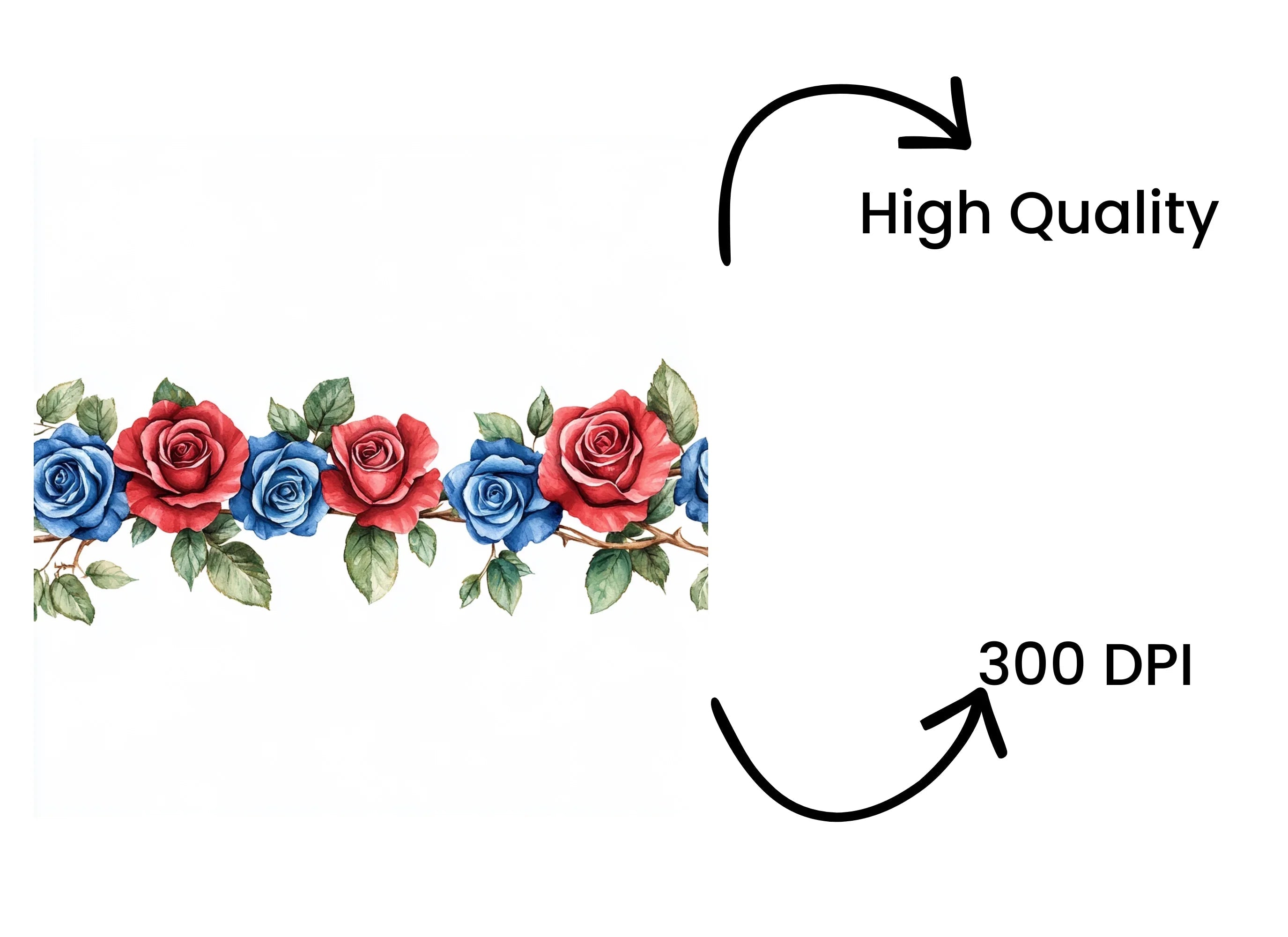 Red and Blue Rose Borders Clipart Bundle