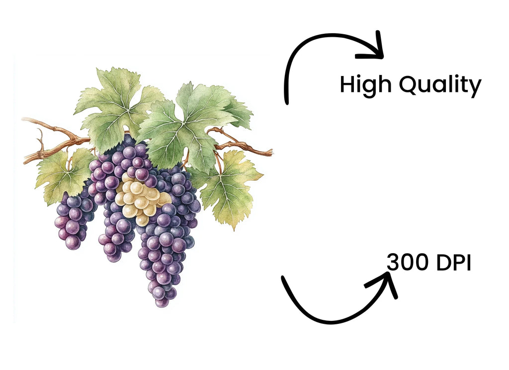 Grape Vine Clipart Bundle