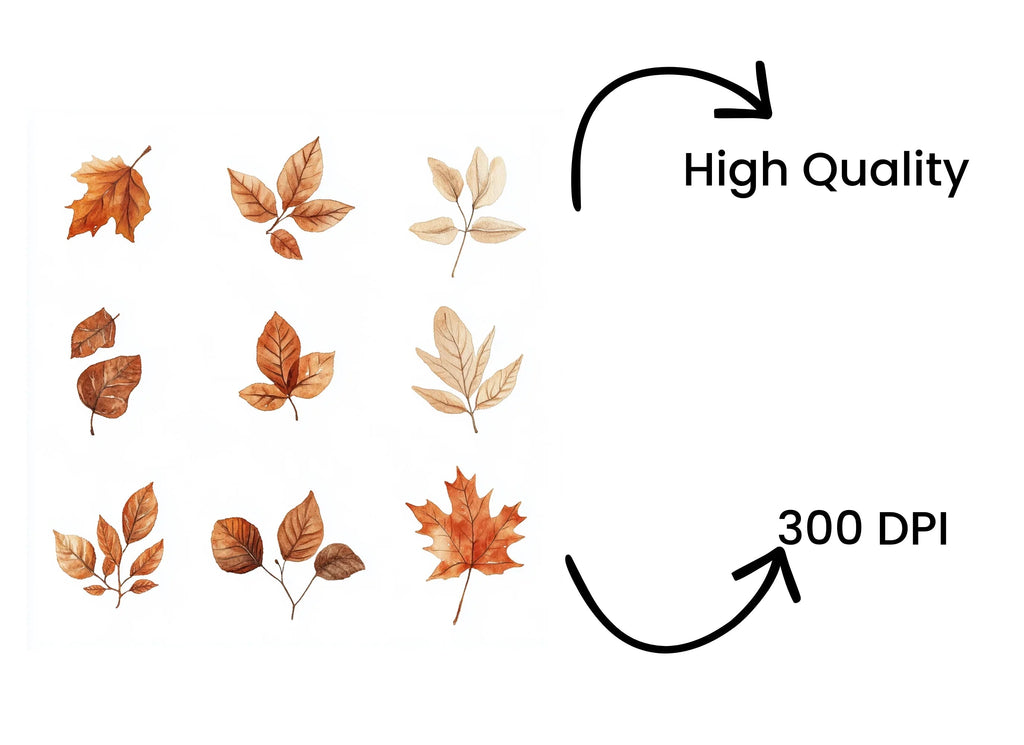 Autumn Leaves Clipart Bundle