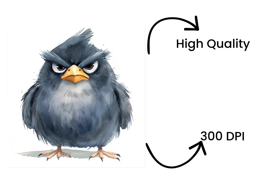 Angry Black Birds Clipart Bundle