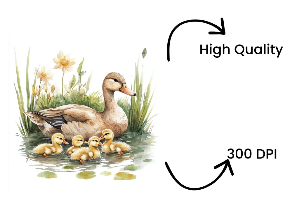 Cute Duck and Ducklings Clipart Bundle