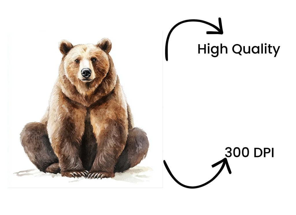 Realistic Grizzly Bear Clipart Bundle