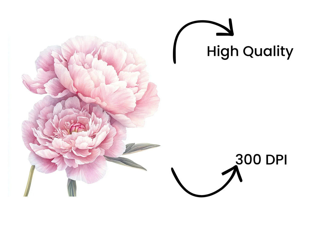Pink Peony Bouquet Clipart Bundle