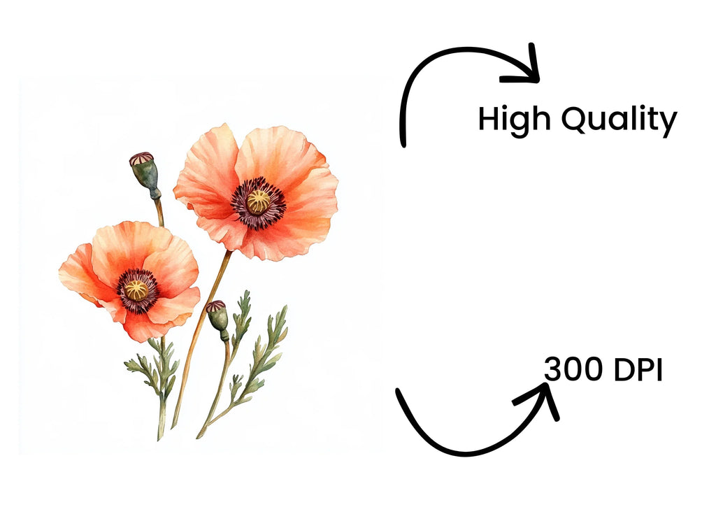 Vibrant Poppy Field Clipart Bundle