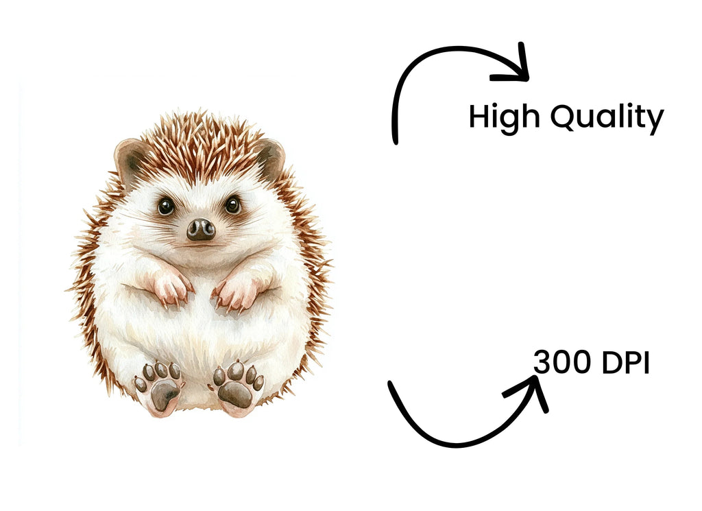 Cute Hedgehog Clipart Bundle