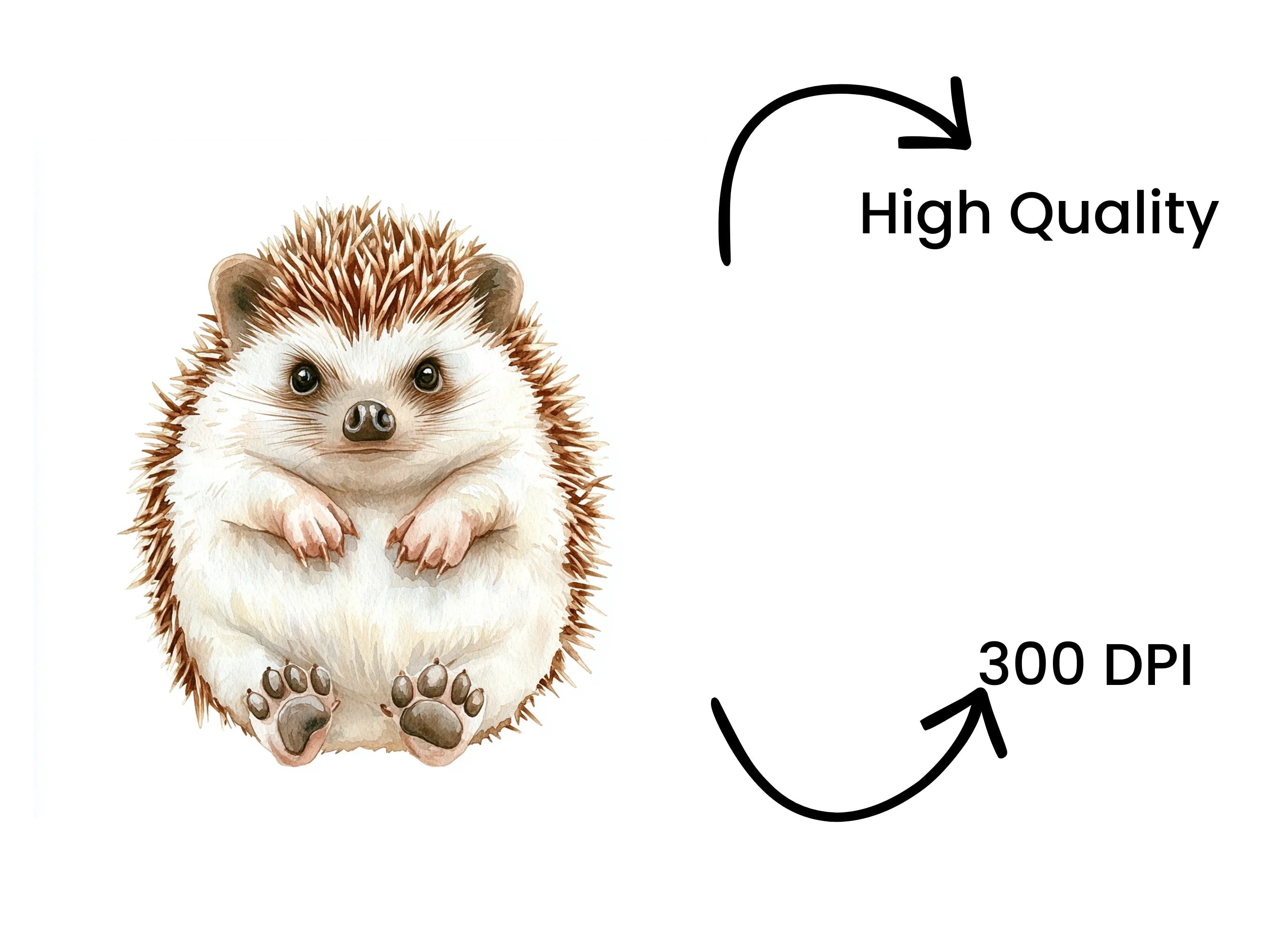 Cute Hedgehog Clipart Bundle