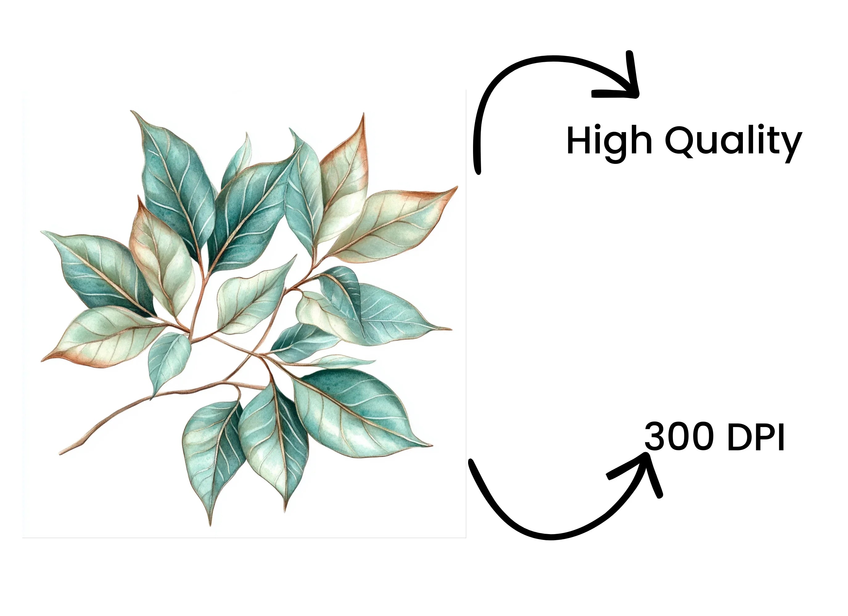 Leaf Clipart Bundle
