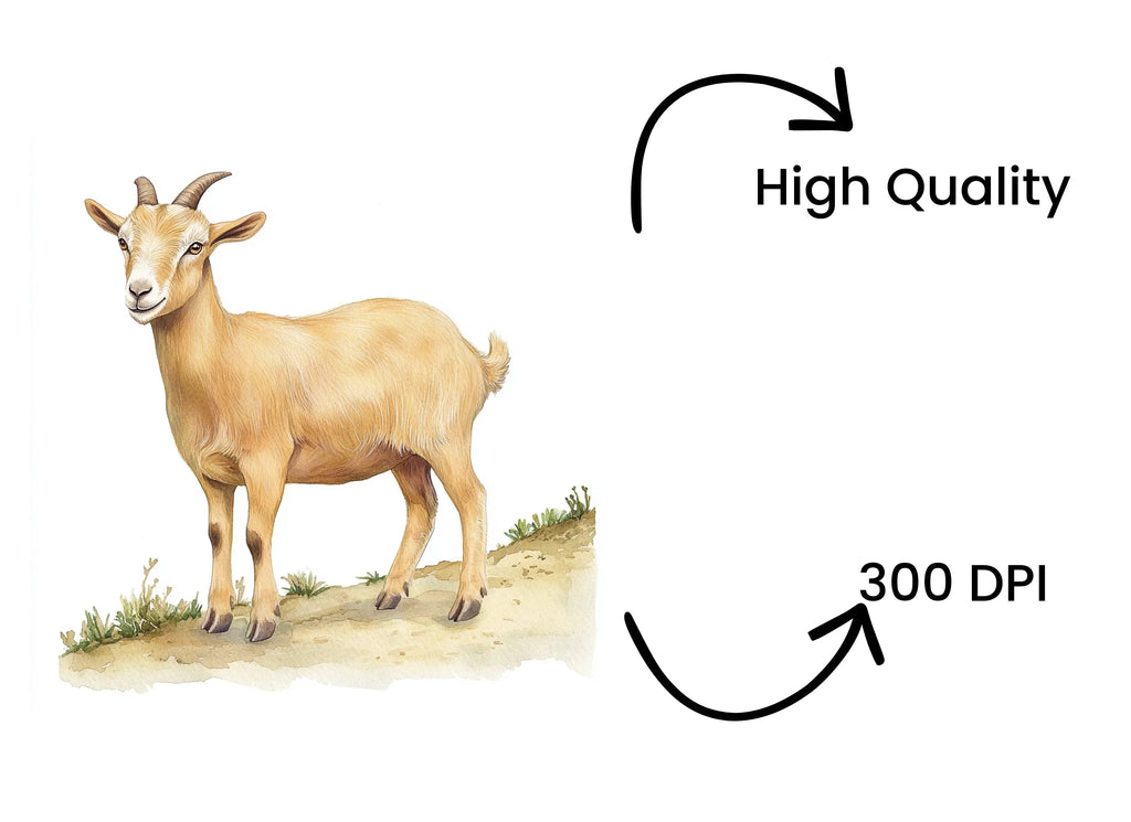 Goat Illustration Clipart Bundle