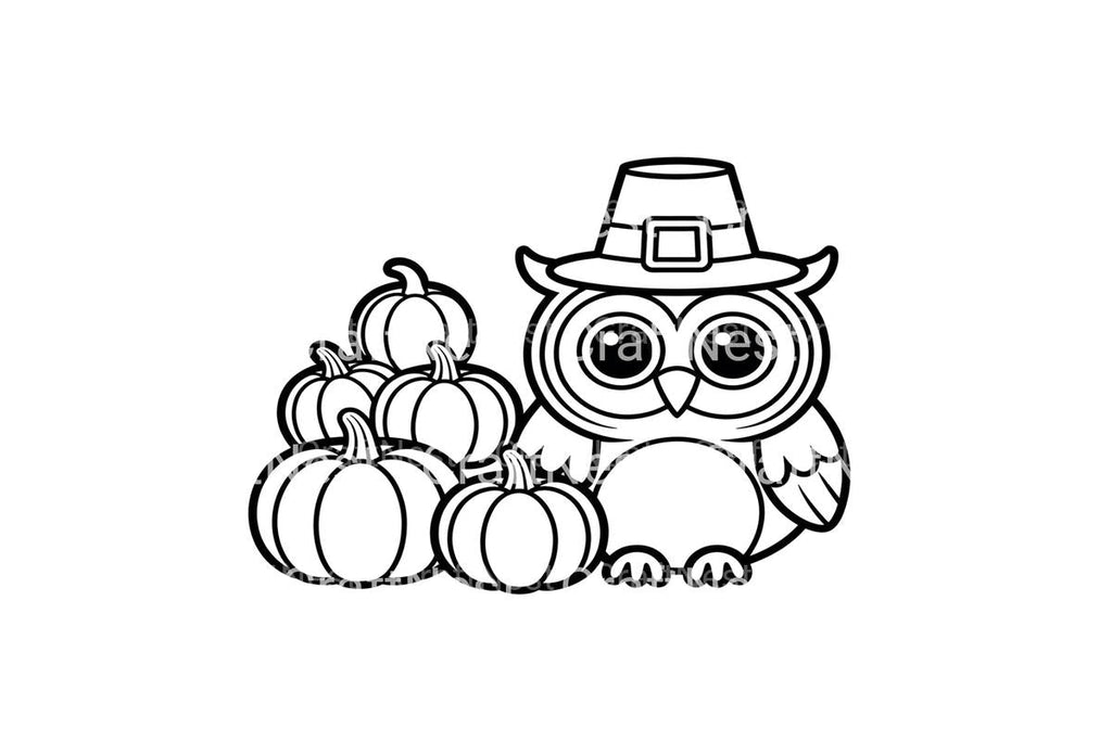 Thanksgiving Owl and Pumpkins Coloring Books