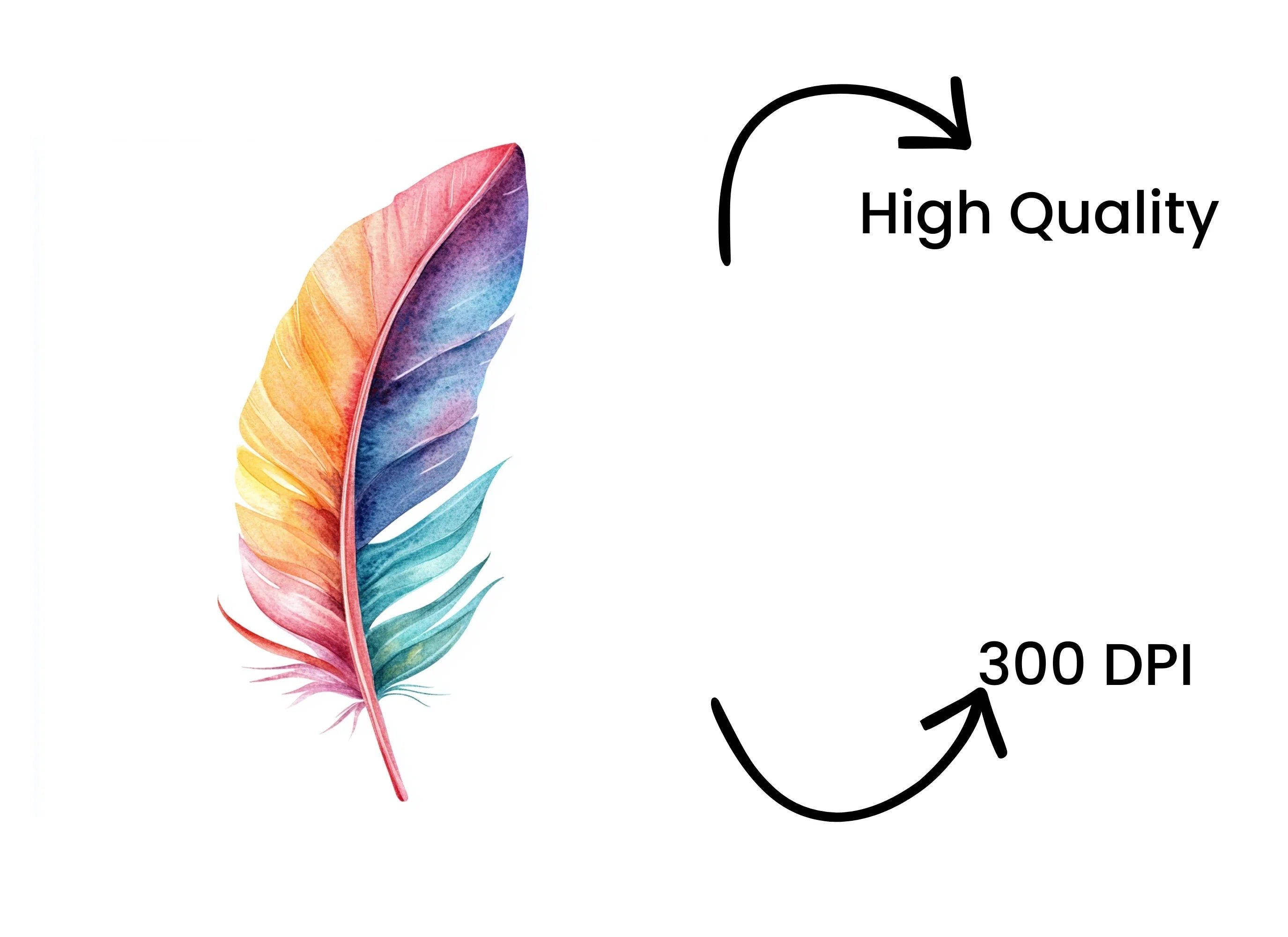 Vibrant Feather Clipart Bundle