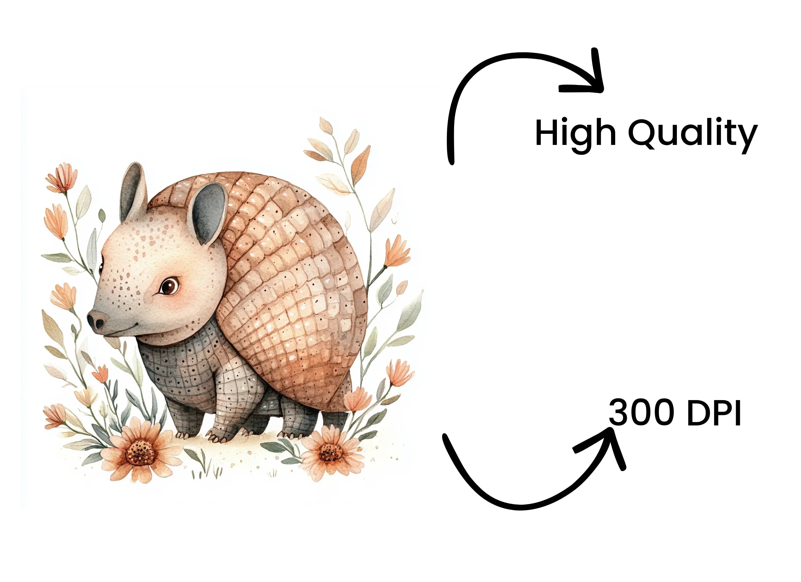 Charming Armadillo Clipart Bundle