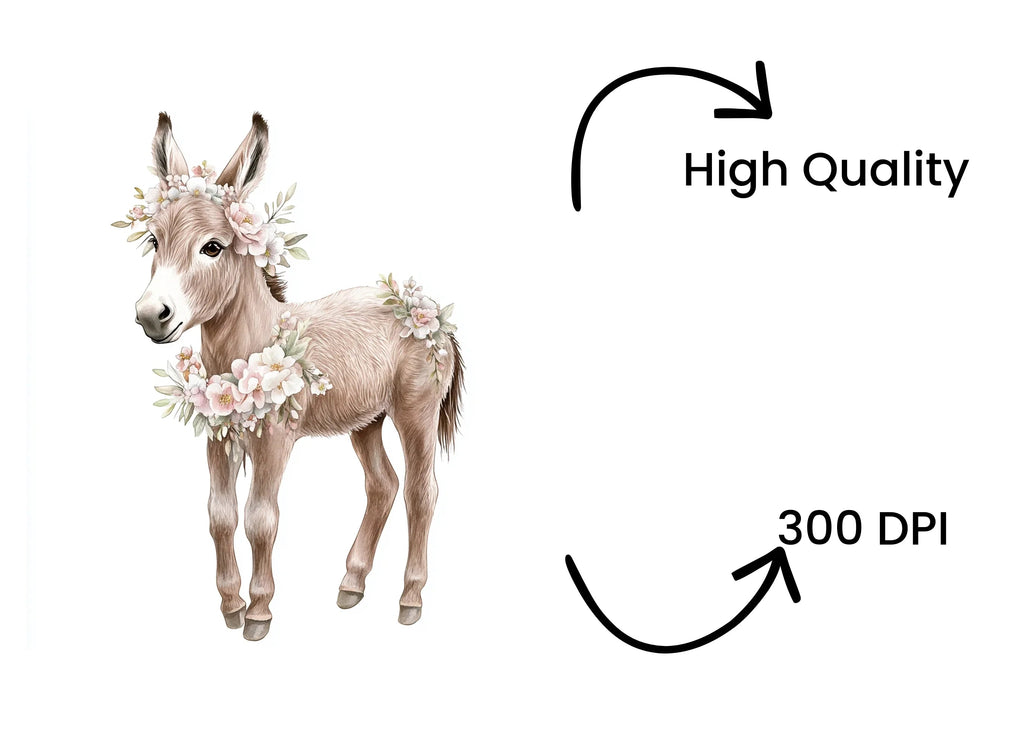 Baby Donkey Floral Wreath Clipart Bundle