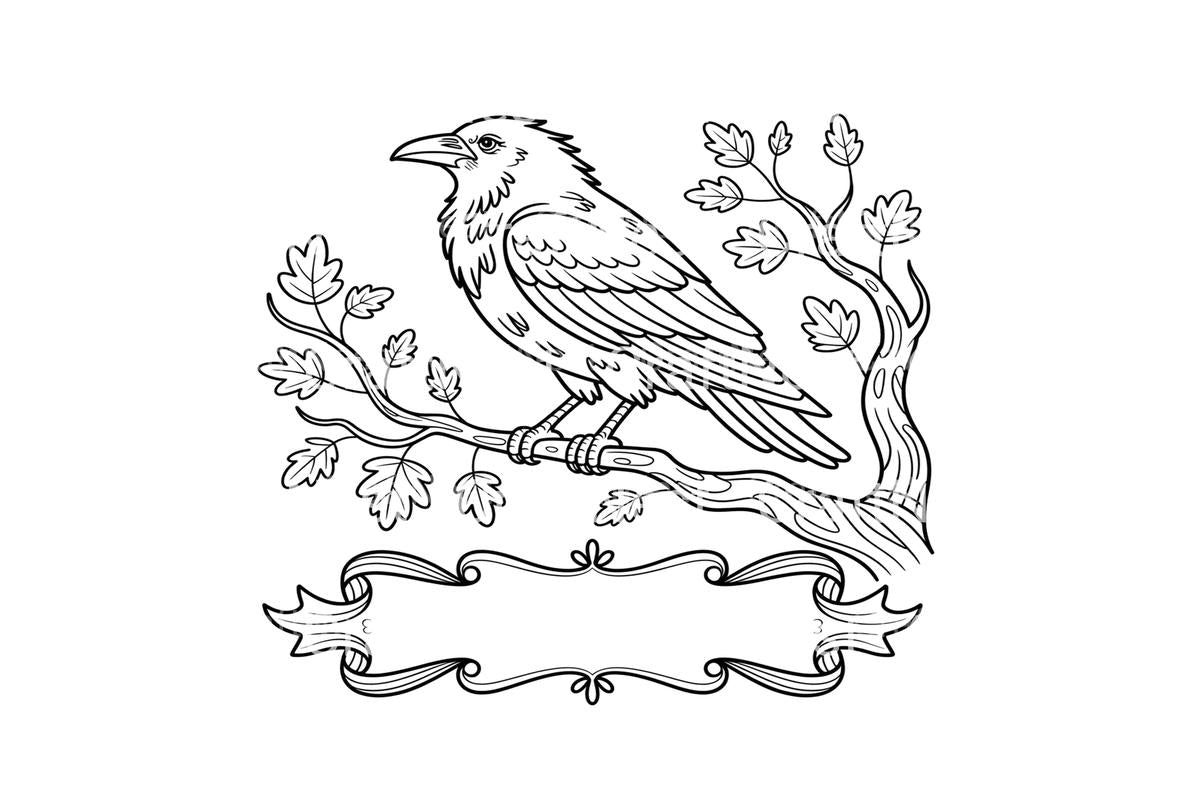 Raven and Crow Coloring Books