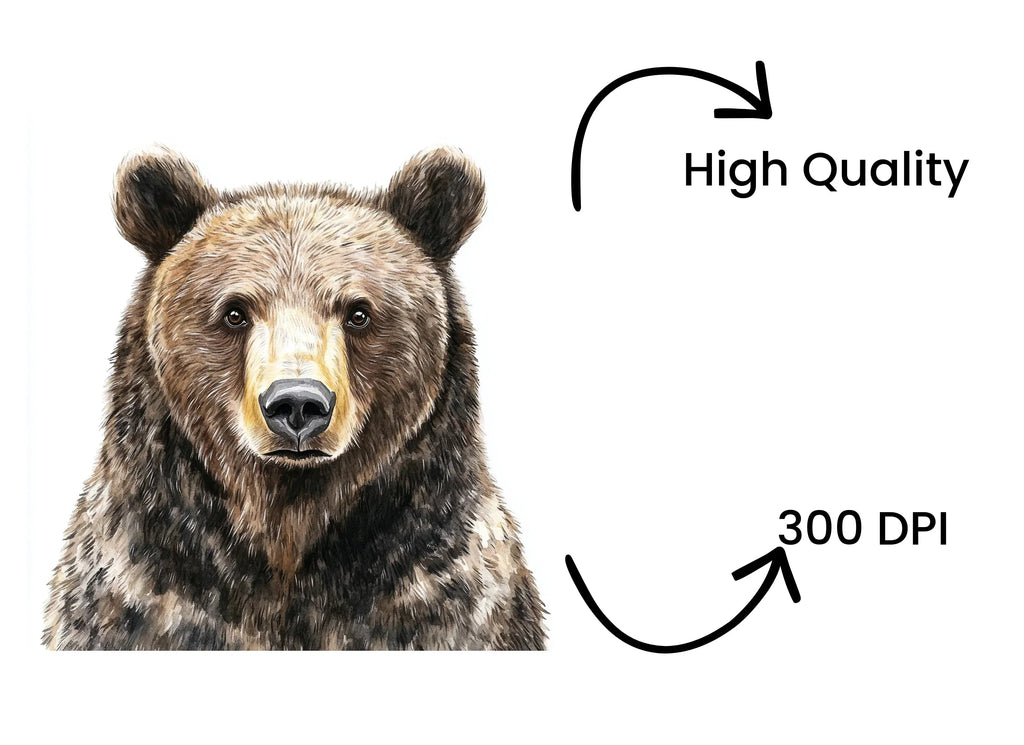 Realistic Brown Bear Head Clipart Bundle