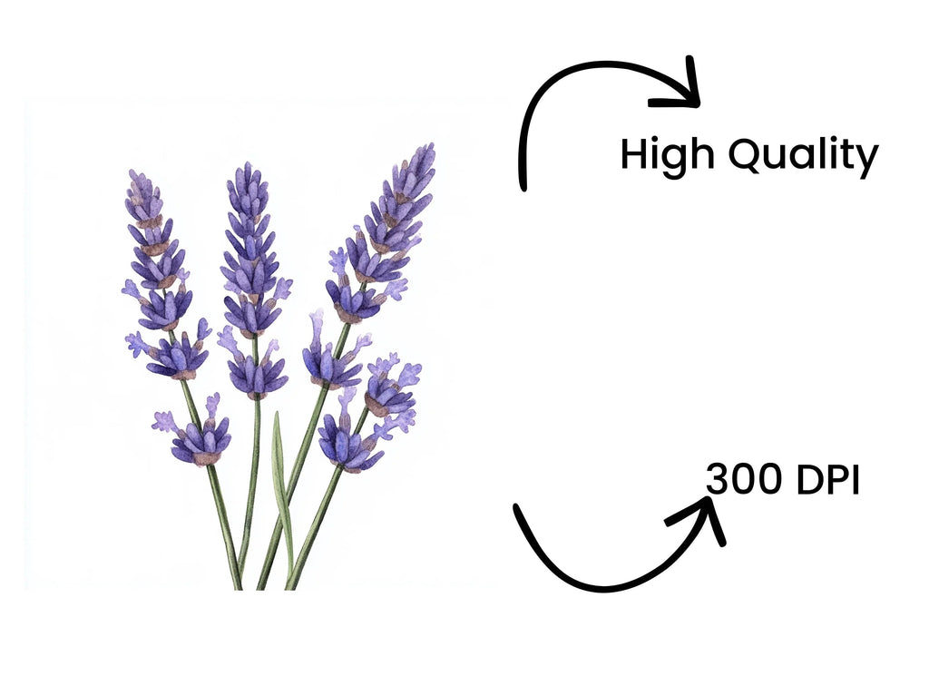 Beautiful Lavender Sprigs Clipart Bundle