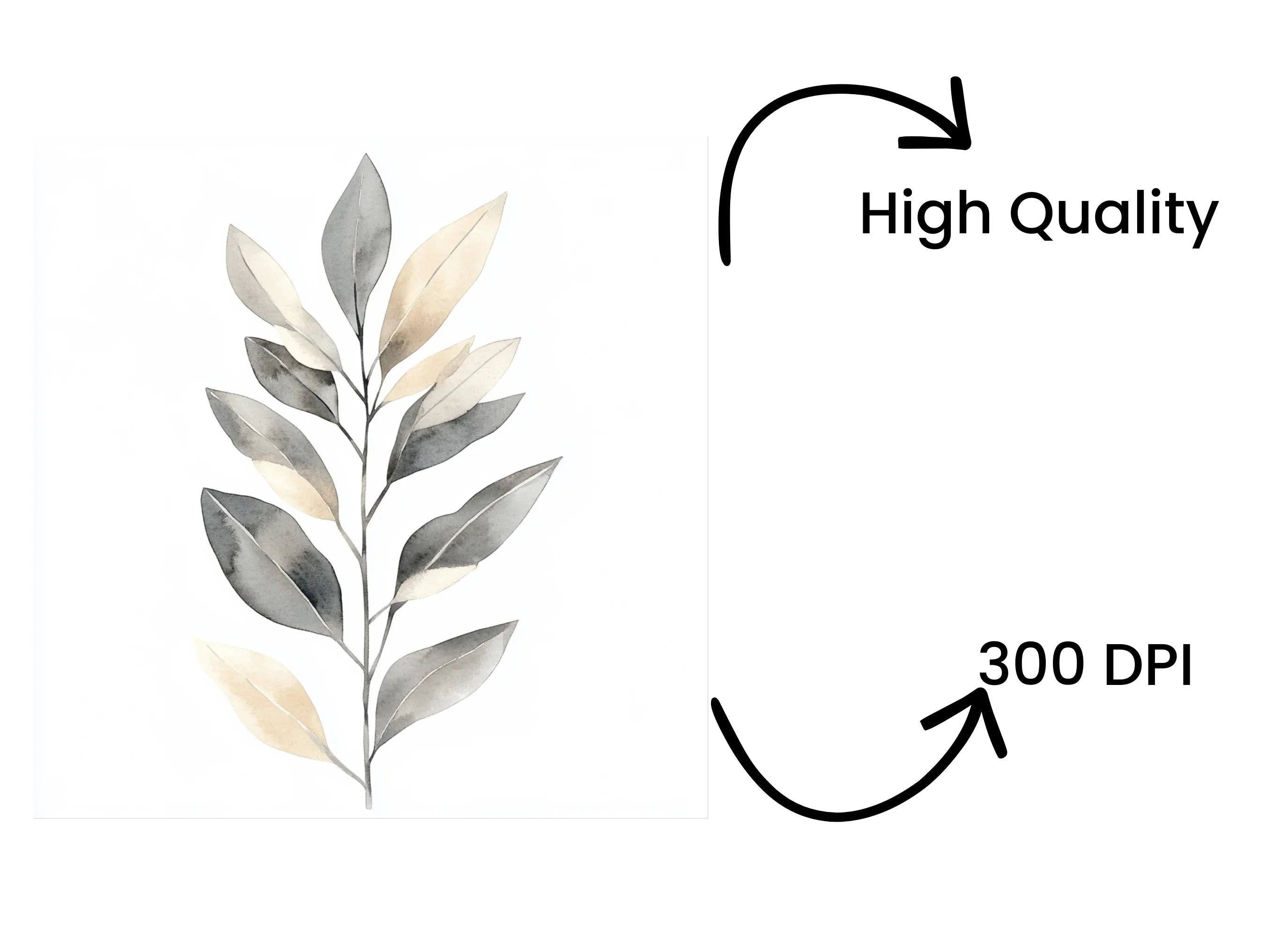 Eucalyptus Willow Clipart Bundle