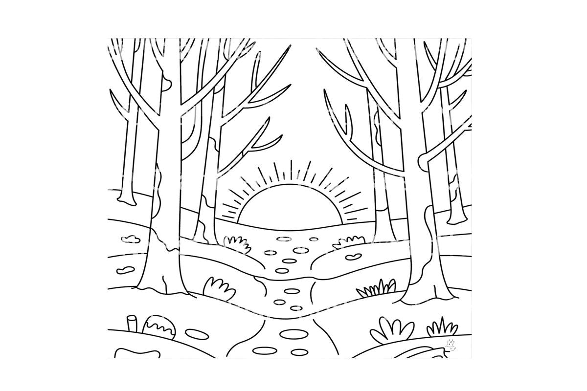 Winter Forest Sunrise Coloring Books