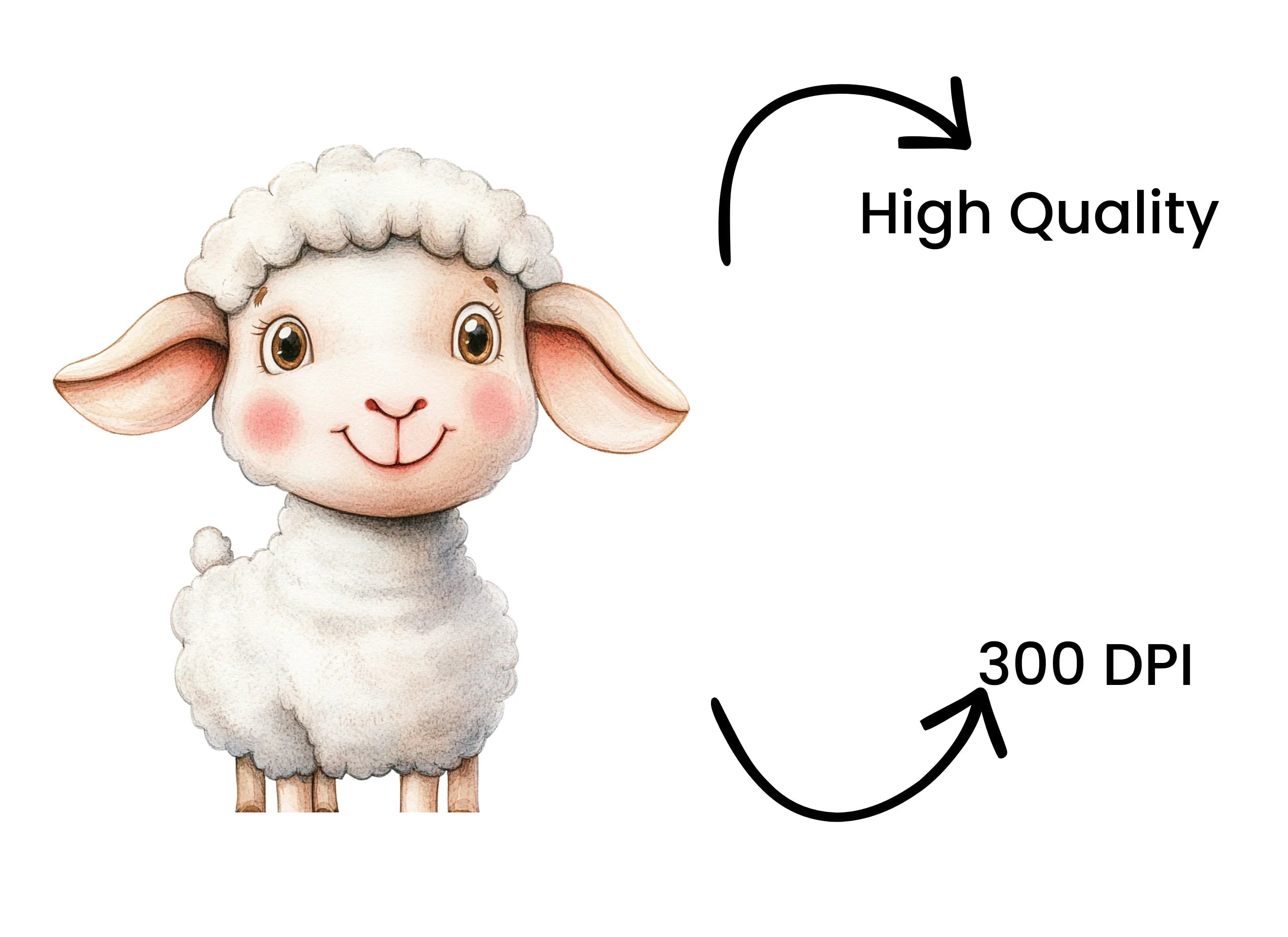 Cute Baby Sheep Clipart Bundle