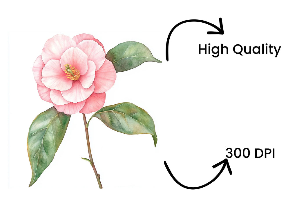 Pink Camellia Flower Clipart Bundle