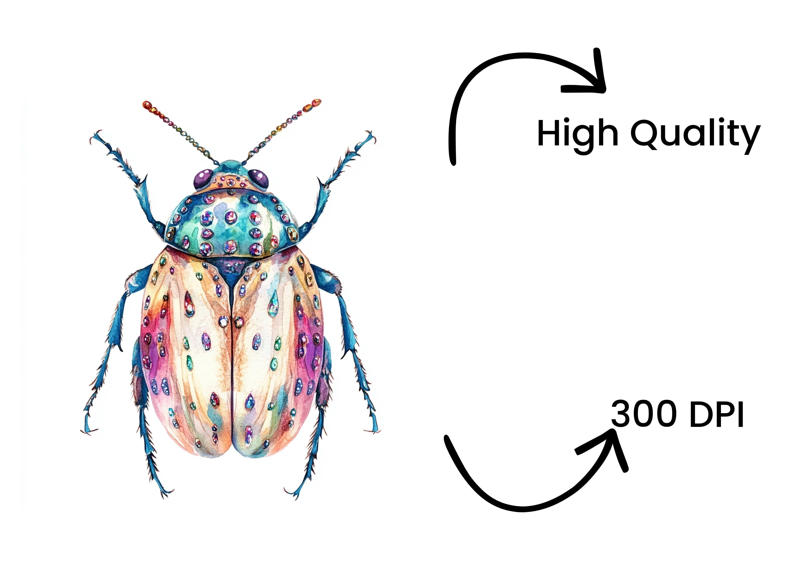 Whimsical Jewel Beetle Clipart Bundle