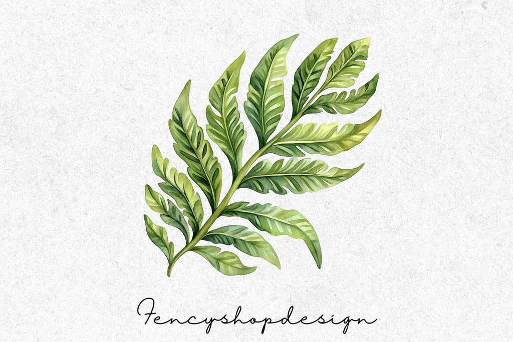 Fern Leaves Clipart Bundle