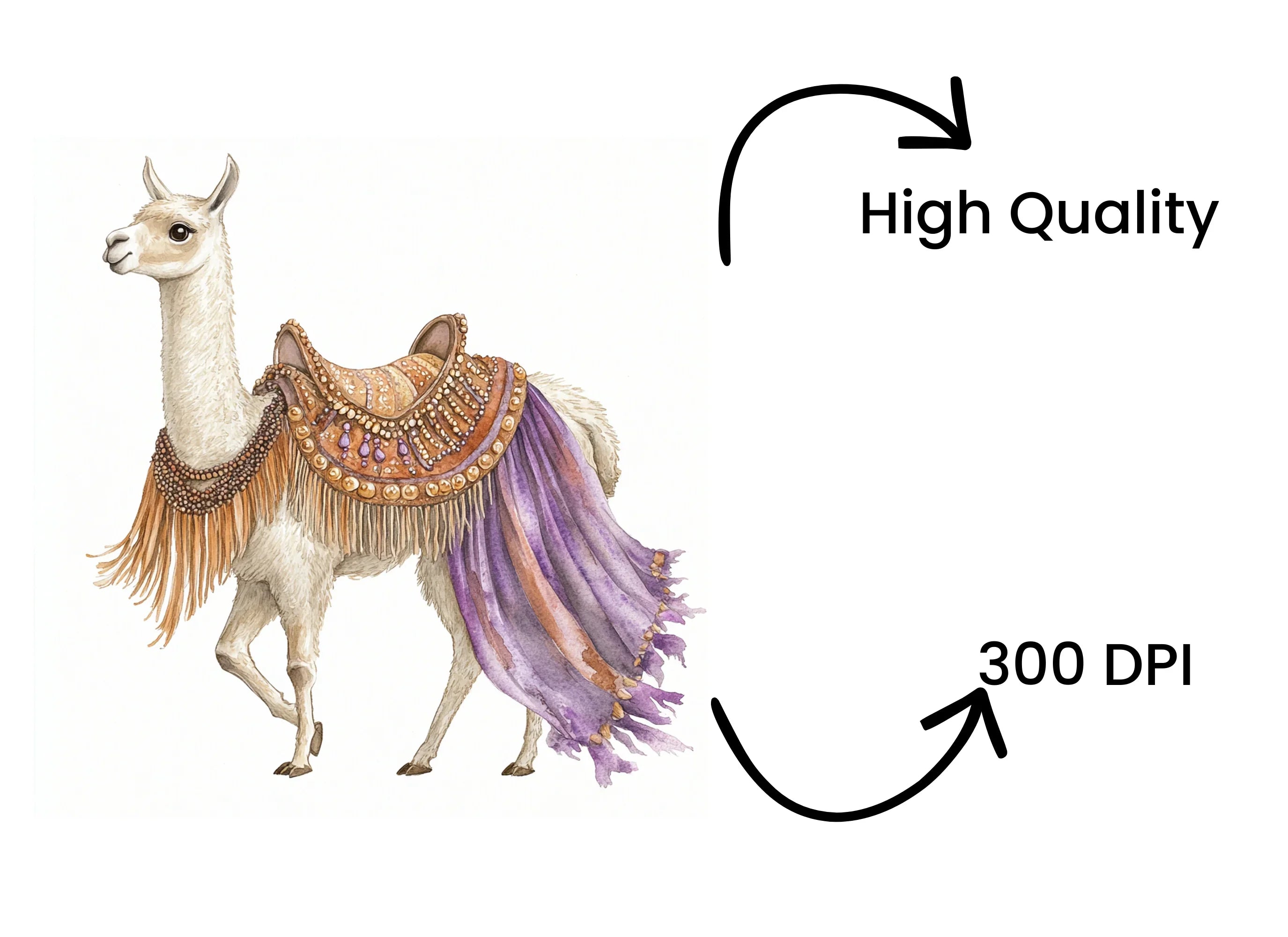Llama with Ornate Saddles Clipart Bundle