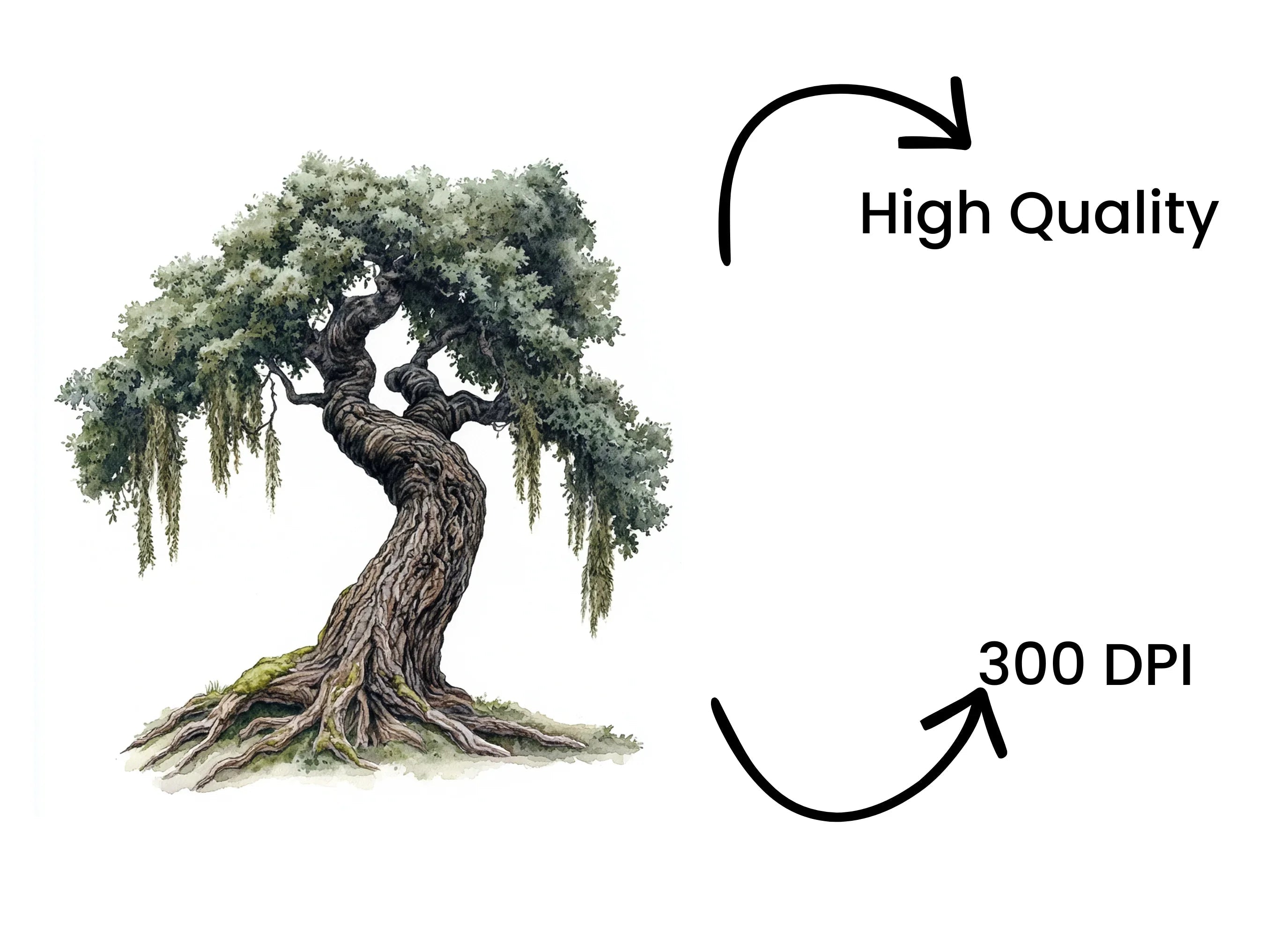 Twisted Oak Tree Illustration Clipart Bundle