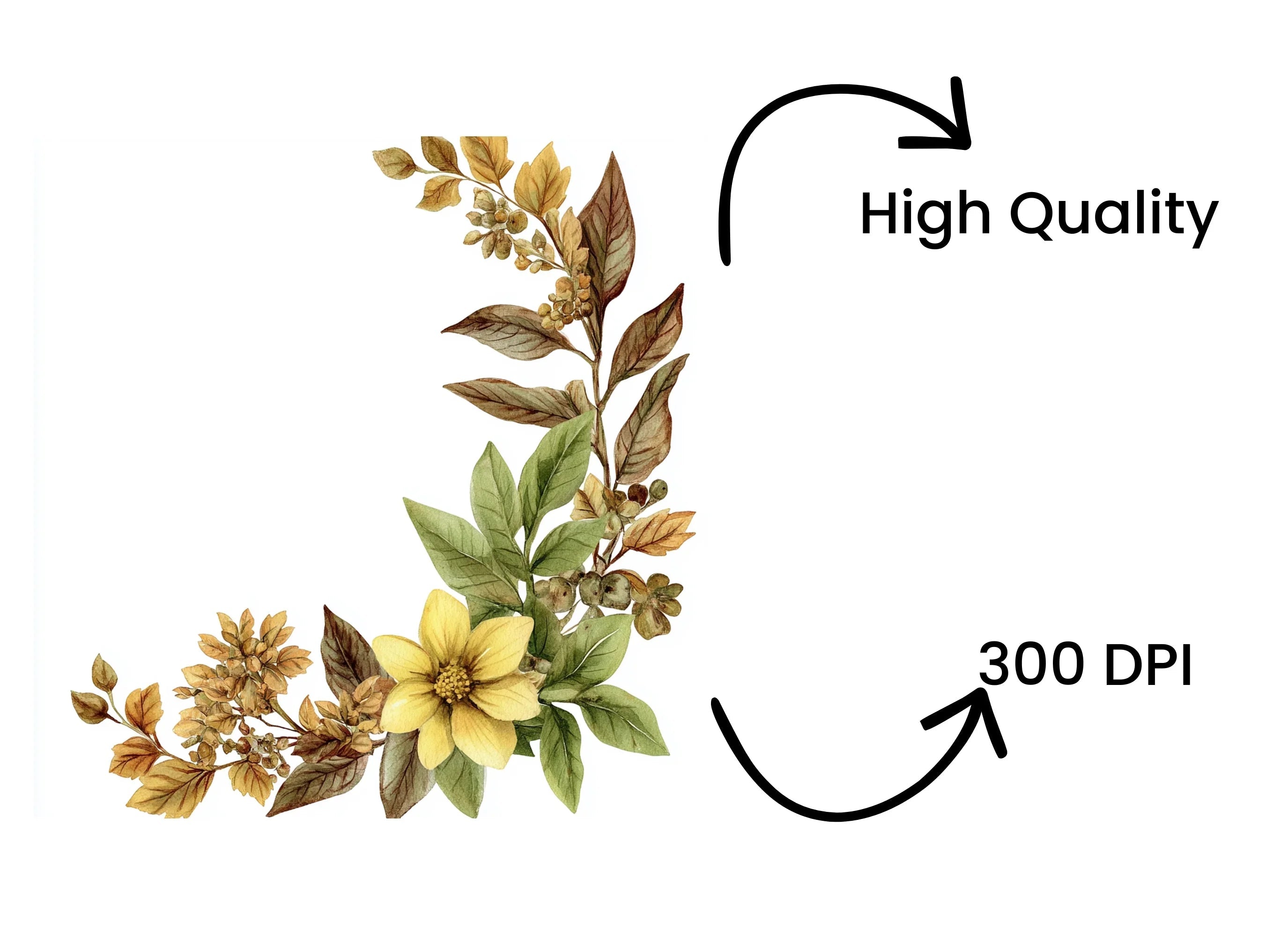 Autumn Floral Corner Clipart Bundle