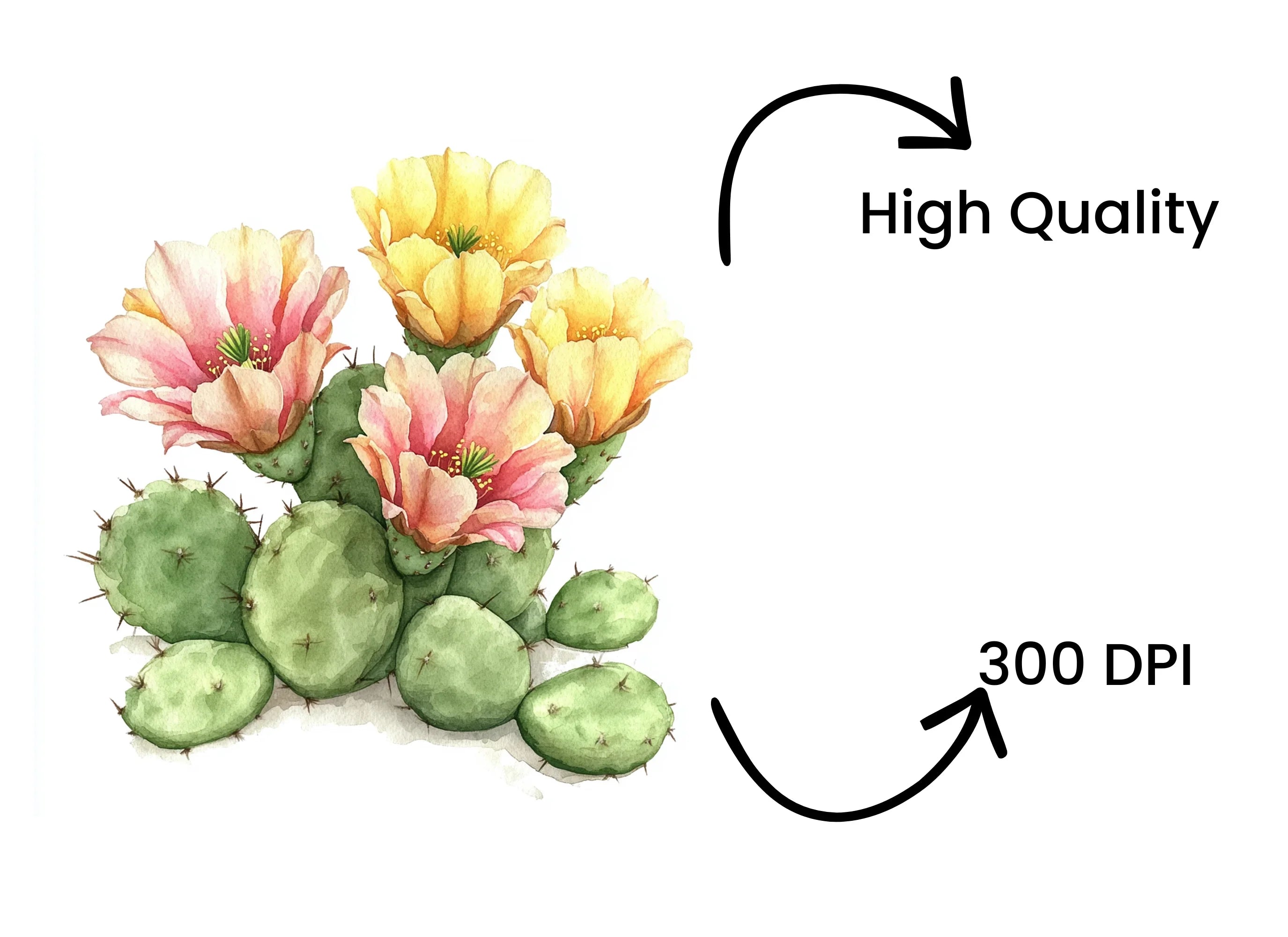 Prickly Pear Cactus Clipart Bundle