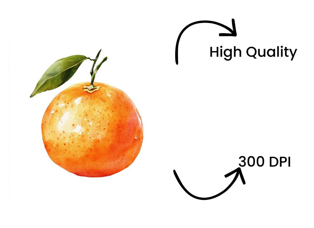 Whole Orange Fruit Clipart Bundle