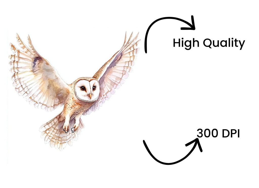 Graceful Barn Owl In Flight Clipart Bundle
