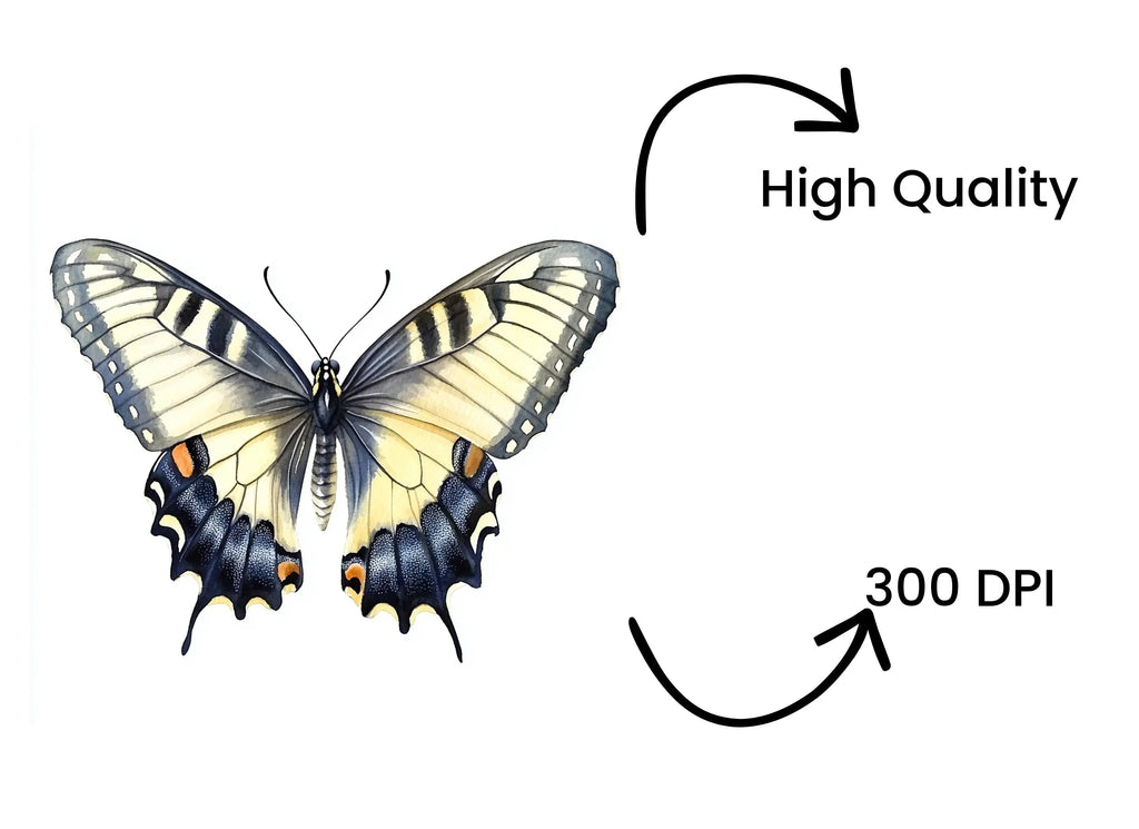 Elegant Swallowtail Butterfly Clipart Bundle