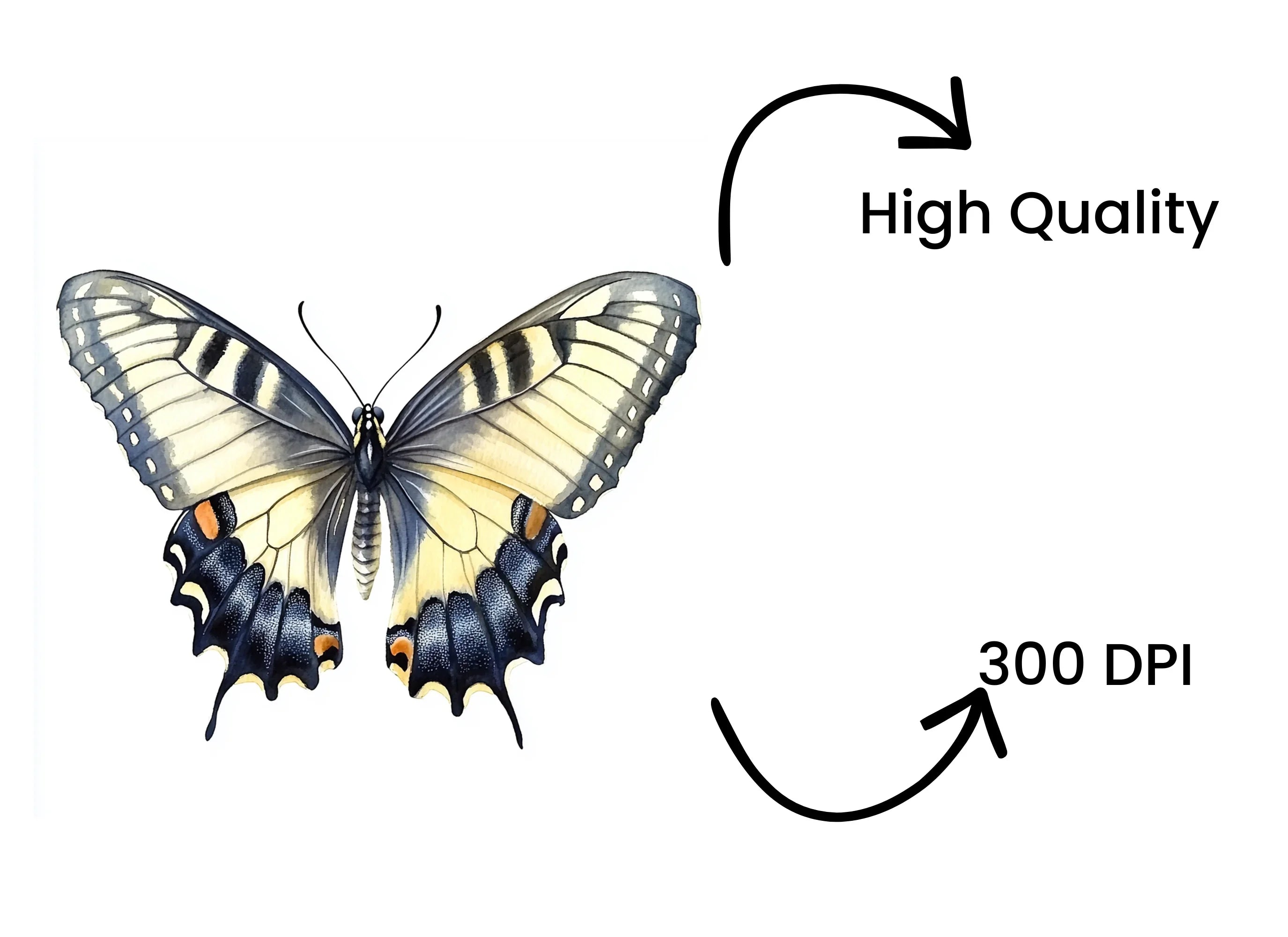 Elegant Swallowtail Butterfly Clipart Bundle