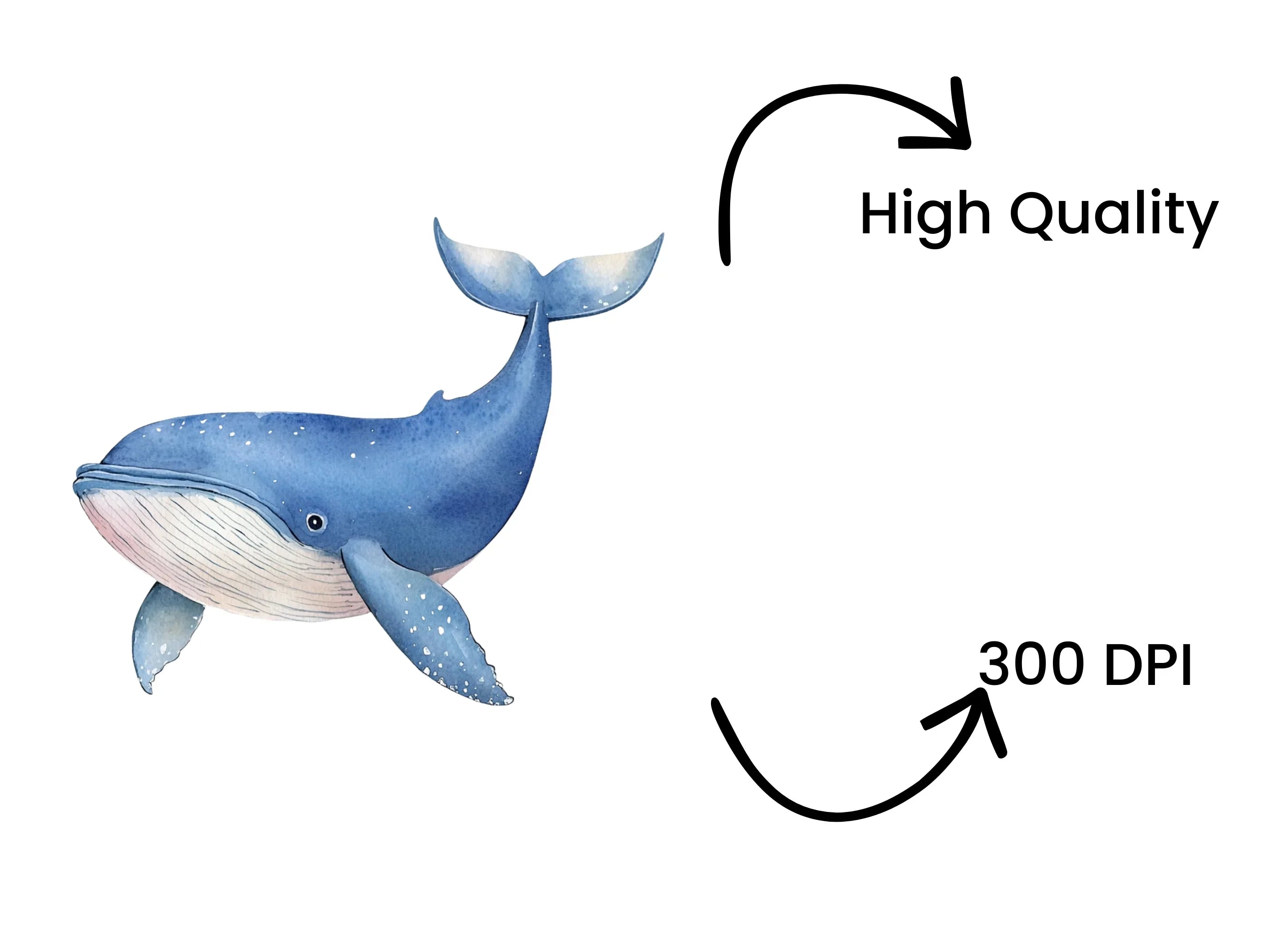 Blue Whale Ocean Clipart Bundle