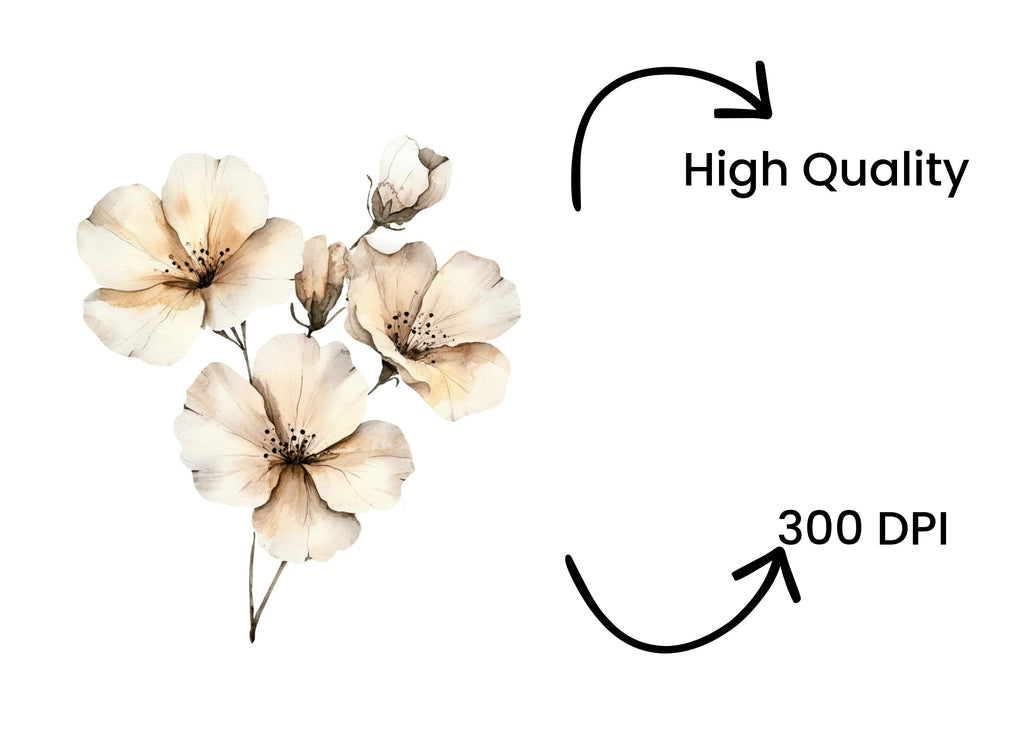 Elegant White Floral Clipart Bundle