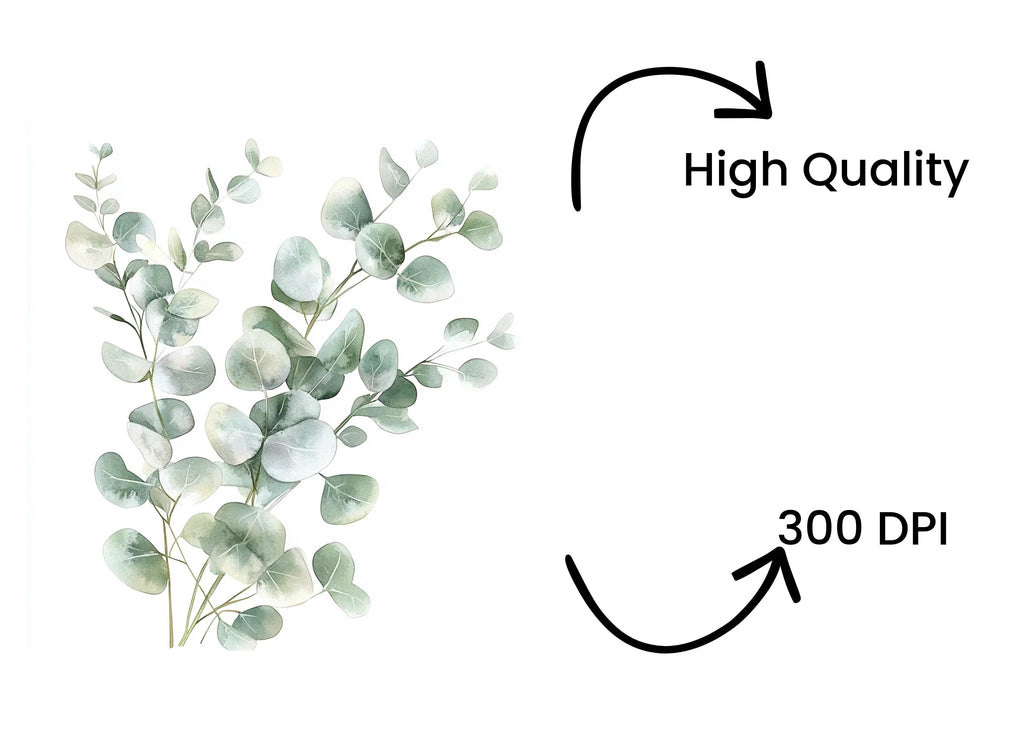 Delicate Eucalyptus Leaves Clipart Bundle
