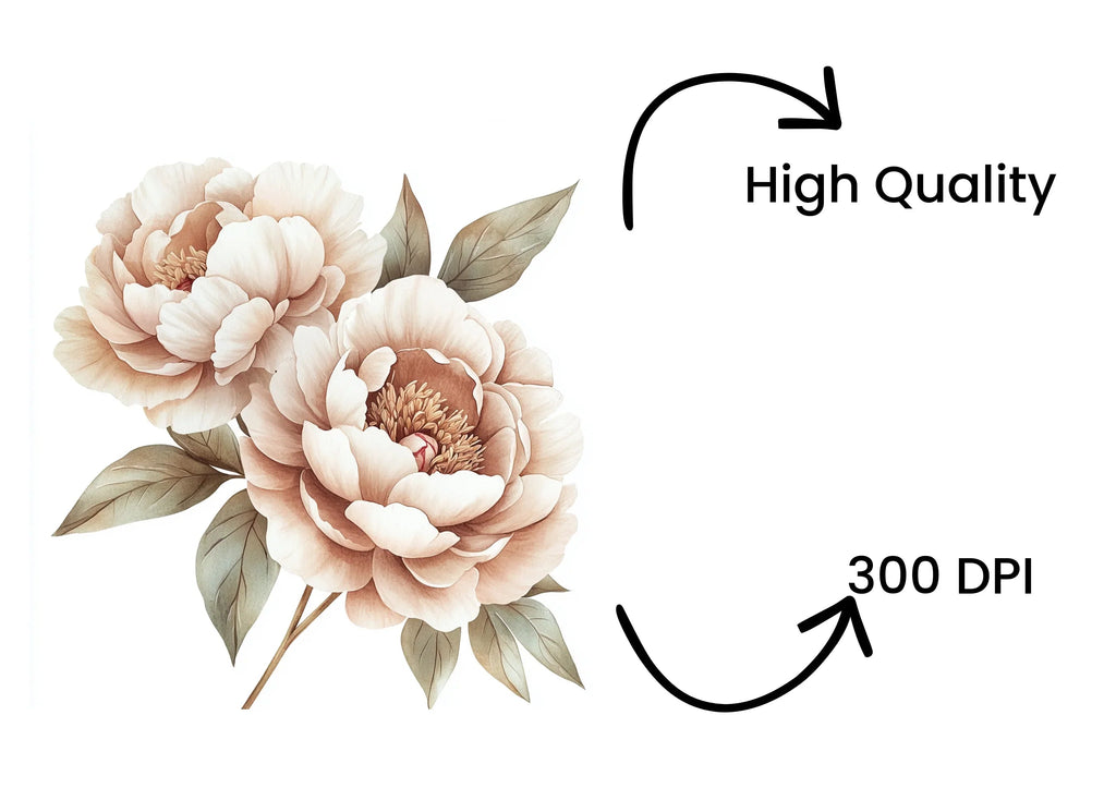 Elegant Peony Flower Clipart Bundle