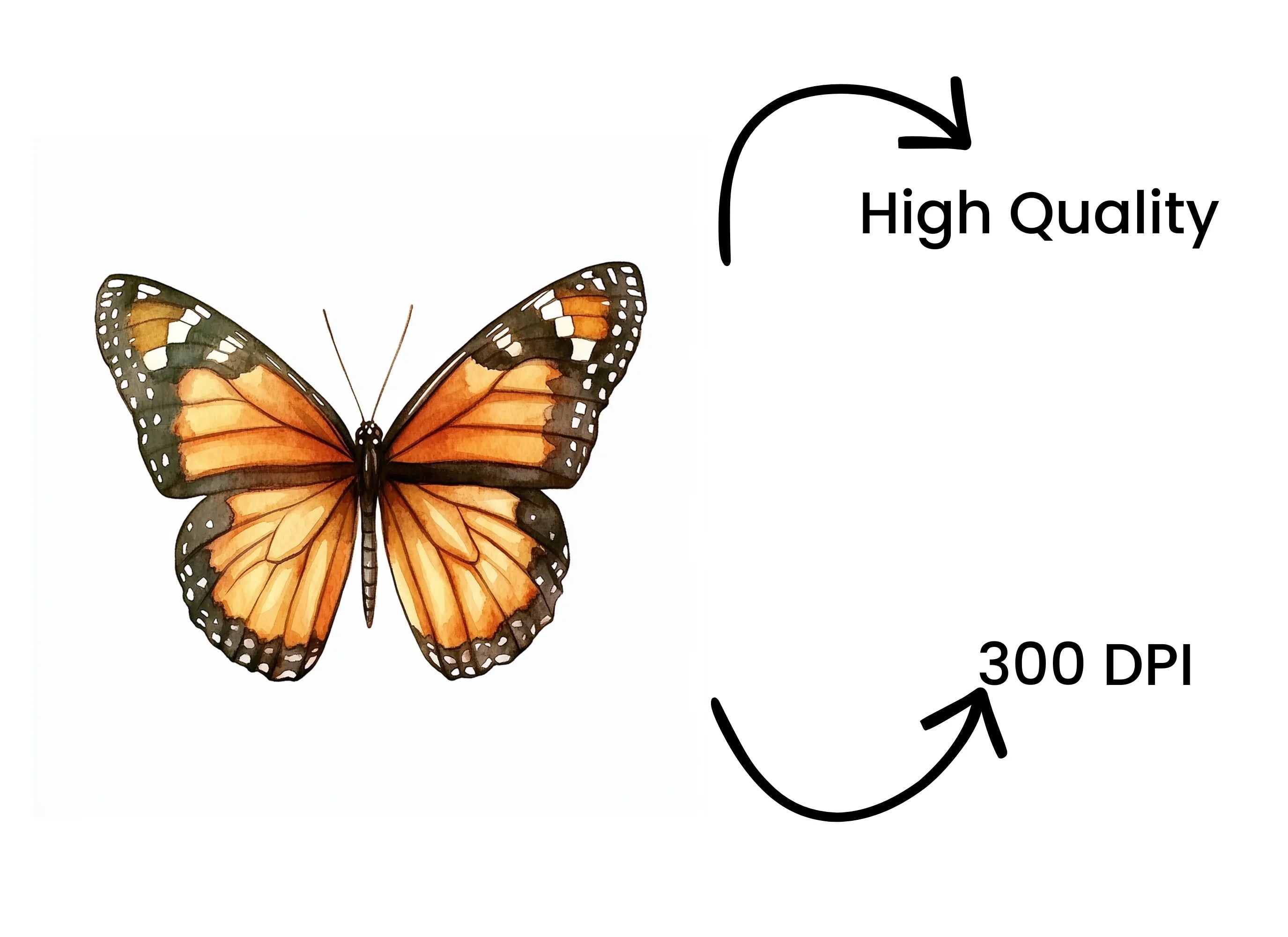 Monarch Butterfly Clipart Bundle