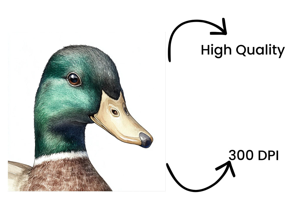 Mallard Duck Head Clipart Bundle