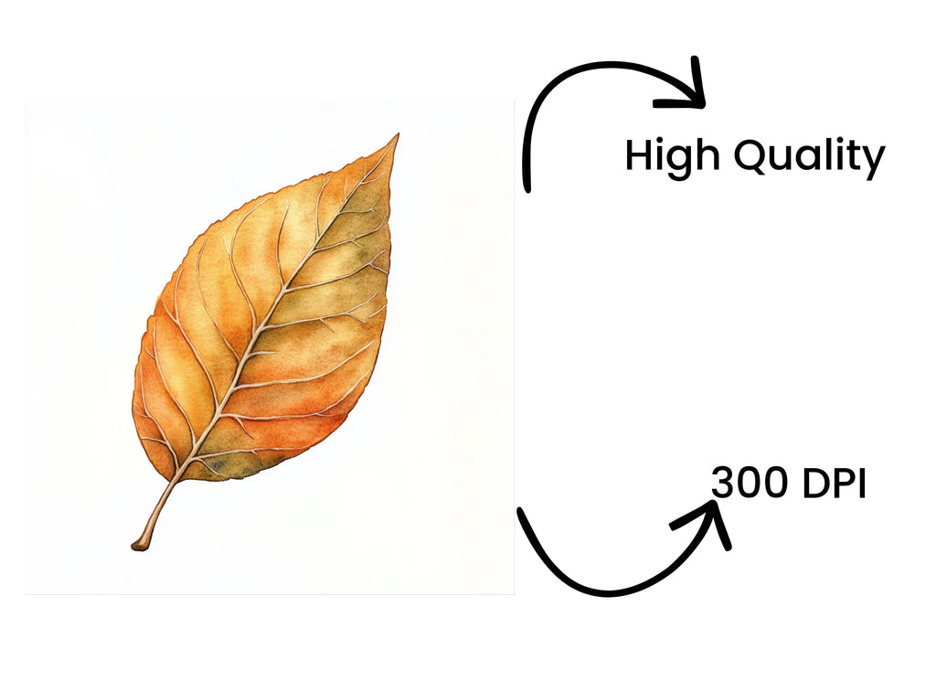 Autumn Leaves Clipart Bundle