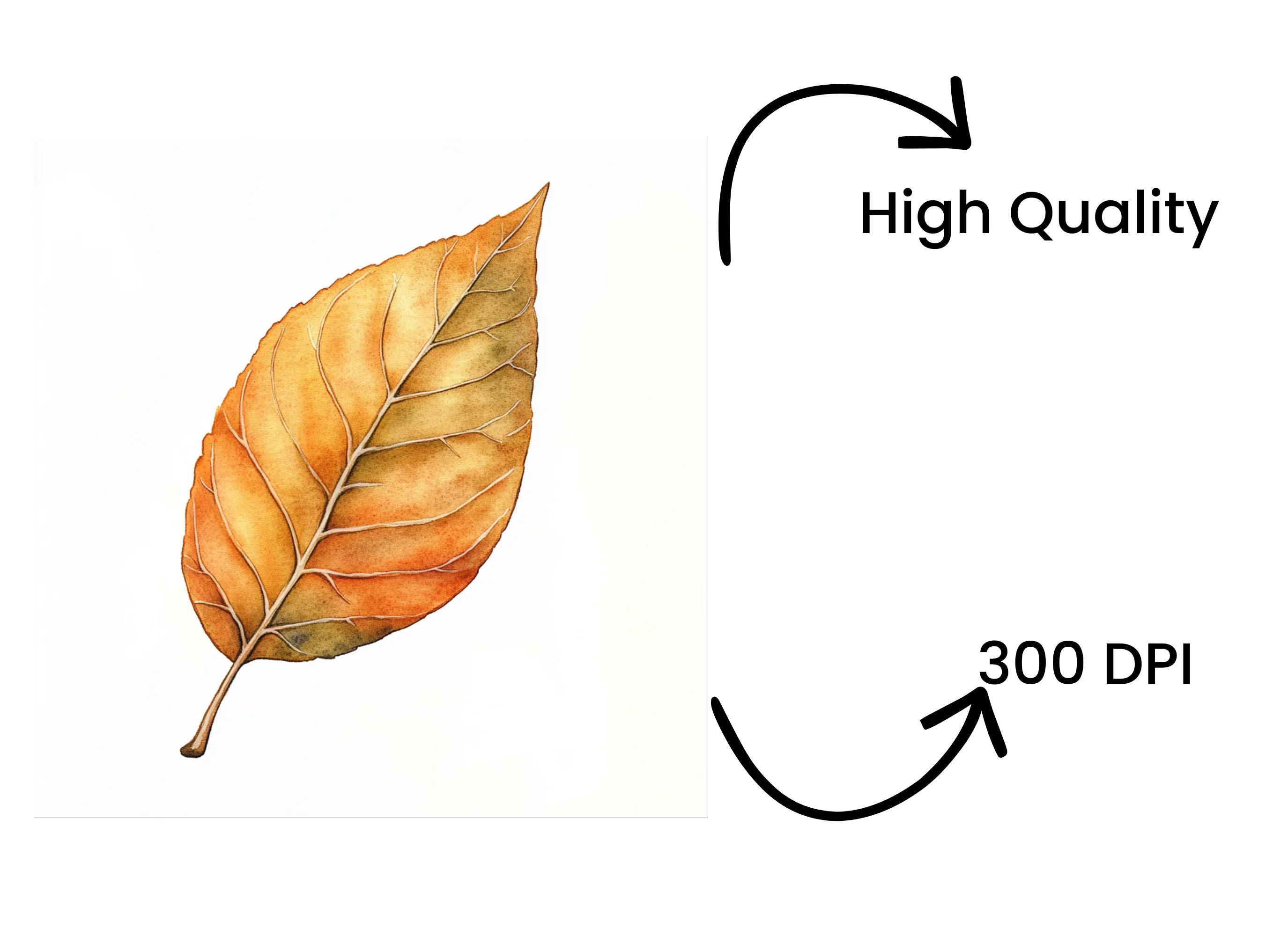 Autumn Leaves Clipart Bundle