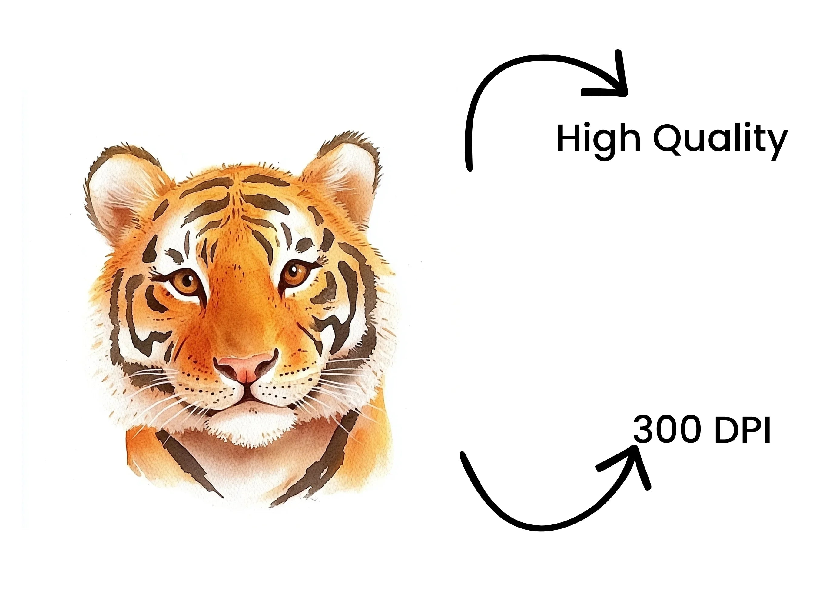 Tiger Head Clipart Bundle